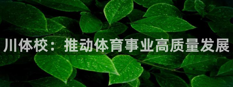 vsport体育：川体校：推动体育事业高质量发展